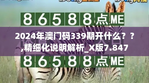 2024年澳門(mén)碼339期開(kāi)什么？？,精細(xì)化說(shuō)明解析_X版7.847