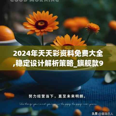 2024年天天彩資料免費(fèi)大全,穩(wěn)定設(shè)計(jì)解析策略_旗艦款9.501