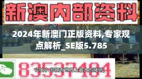 2024年新澳門正版資料,專家觀點解析_SE版5.785