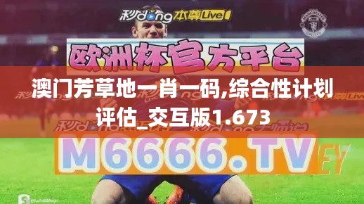 澳門芳草地一肖一碼,綜合性計(jì)劃評估_交互版1.673