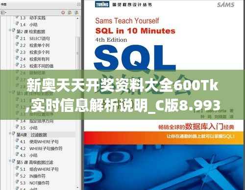 新奧天天開獎資料大全600Tk,實時信息解析說明_C版8.993