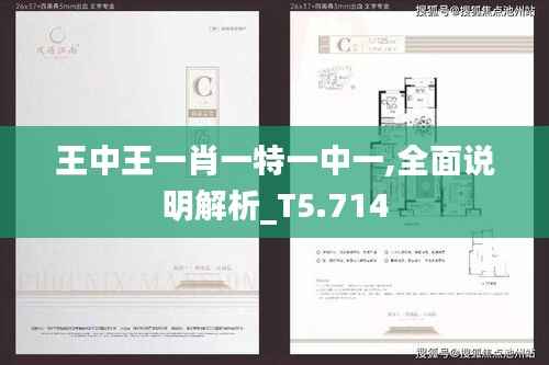王中王一肖一特一中一,全面說明解析_T5.714