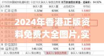 2024年香港正版資料免費大全圖片,實際案例解釋定義_尊貴版9.673