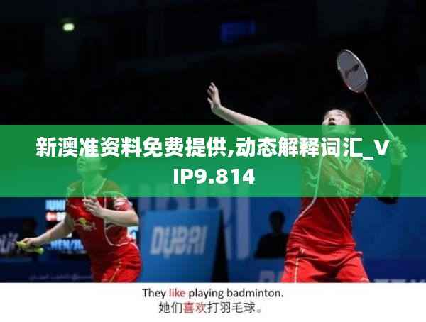 新澳準資料免費提供,動態(tài)解釋詞匯_VIP9.814