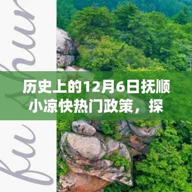 撫順小涼快政策探秘，獨特韻味與巷弄美食的奇緣