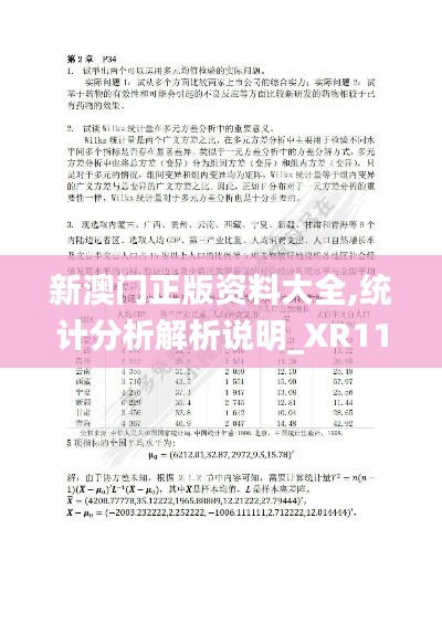 新澳門正版資料大全,統(tǒng)計(jì)分析解析說(shuō)明_XR110.718