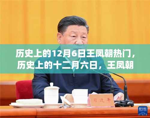 王鳳朝與大自然的神秘之旅，十二月六日的熱門啟程探尋內(nèi)心寧靜之路