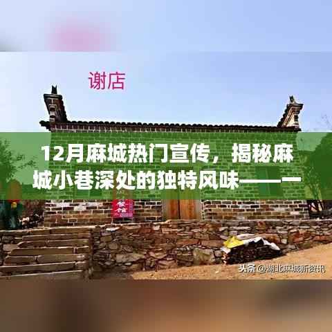 揭秘麻城小巷深處的獨(dú)特風(fēng)味，秘密美食小店成麻城熱門宣傳焦點(diǎn)