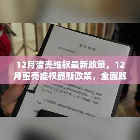 全面解讀，蛋殼維權(quán)最新政策特性、用戶體驗(yàn)與目標(biāo)用戶群體分析揭秘