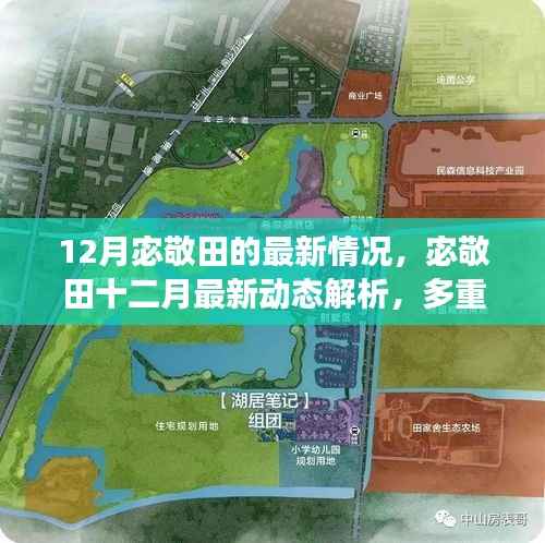 宓敬田十二月最新動(dòng)態(tài)解析，多重視角下的觀察與深度探討