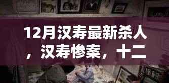 漢壽慘案揭秘，深度探究十二月悲劇背后的真相