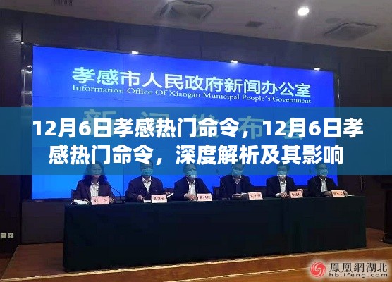 深度解析，孝感熱門命令背后的影響力與影響