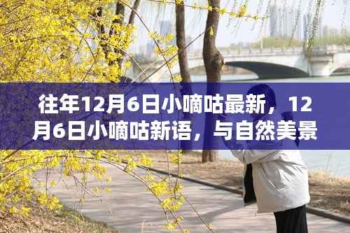 12月6日小嘀咕新語，與自然美景的不解之緣