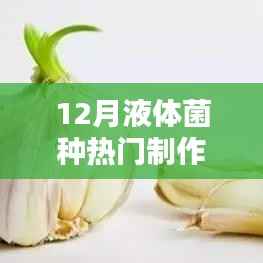 12月液體菌種熱門制作深度解析與觀點(diǎn)探討，制作方法與啟示