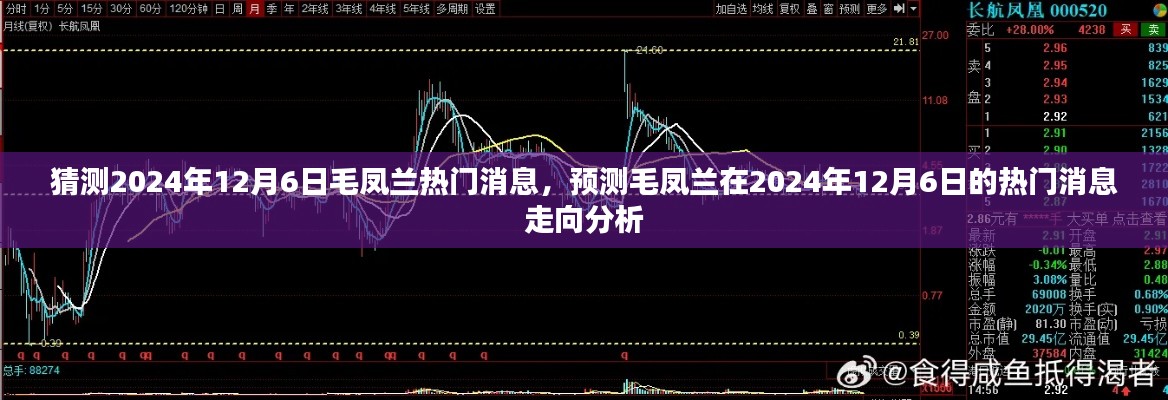毛鳳蘭熱門(mén)消息預(yù)測(cè)，分析毛鳳蘭在2024年12月6日的消息走向揭秘