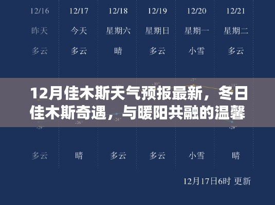 冬日佳木斯天氣預(yù)報(bào)，與暖陽共融的溫馨時(shí)光