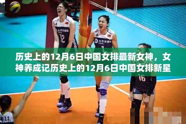 中國(guó)女排新星女神養(yǎng)成記，排球達(dá)人的閃耀之路（12月6日特輯）