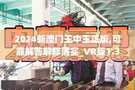 2024新澳門王中王正版,可靠解答解釋落實_VR版1.310