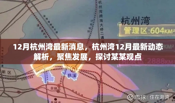 杭州灣12月最新動態(tài)聚焦與發(fā)展觀點探討