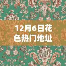 12月6日花色熱門地址，12月6日花色熱門地址，揭秘其背景、事件、影響與時(shí)代地位