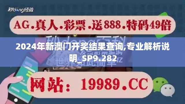 2024年新澳門開獎結果查詢,專業(yè)解析說明_SP9.282