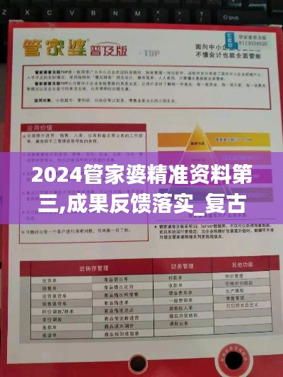 2024管家婆精準資料第三,成果反饋落實_復古版2.723
