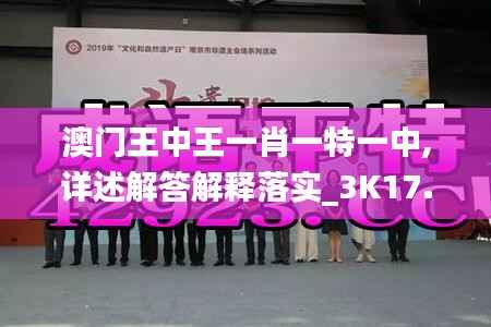 澳門(mén)王中王一肖一特一中,詳述解答解釋落實(shí)_3K17.664
