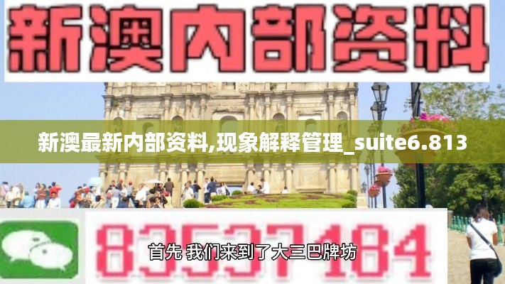 新澳最新內(nèi)部資料,現(xiàn)象解釋管理_suite6.813