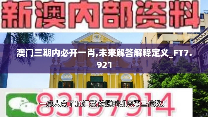 澳門三期內(nèi)必開一肖,未來解答解釋定義_FT7.921