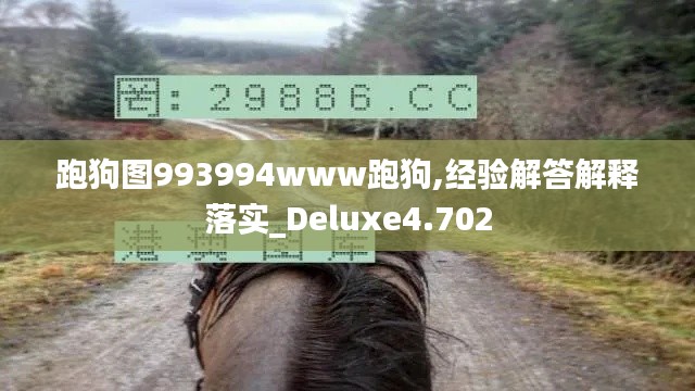 跑狗圖993994www跑狗,經(jīng)驗解答解釋落實_Deluxe4.702