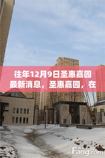 圣惠嘉園冬日探秘，自然美景的奇妙之旅最新消息揭秘
