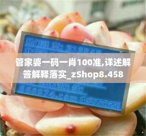 管家婆一碼一肖100準,詳述解答解釋落實_zShop8.458