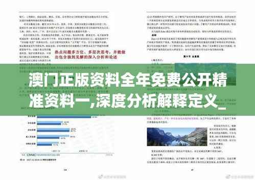 澳門正版資料全年免費公開精準(zhǔn)資料一,深度分析解釋定義_1080p8.886