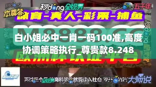 白小姐必中一肖一碼100準,高度協(xié)調(diào)策略執(zhí)行_尊貴款8.248