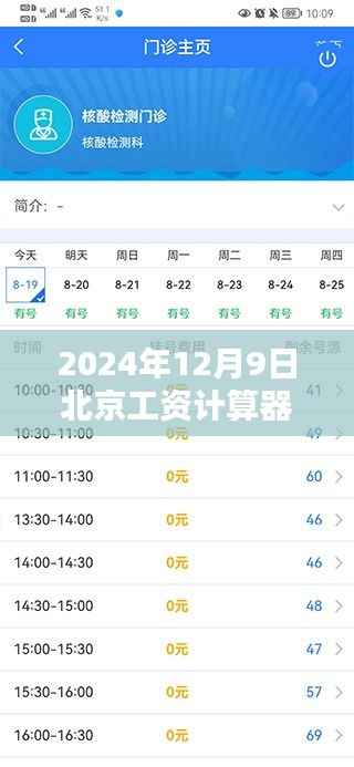手把手教你使用最新北京工資計算器，輕松掌握個人收入狀況（初學者進階適用）