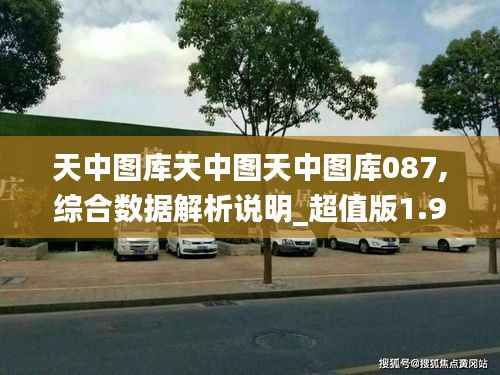 天中圖庫(kù)天中圖天中圖庫(kù)087,綜合數(shù)據(jù)解析說(shuō)明_超值版1.945