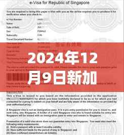 2024年新加坡簽證最新動(dòng)態(tài)解讀，調(diào)整與變化的詳細(xì)解析
