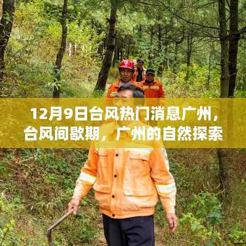 廣州臺(tái)風(fēng)間歇期自然探索之旅，尋找心靈的寧?kù)o港灣