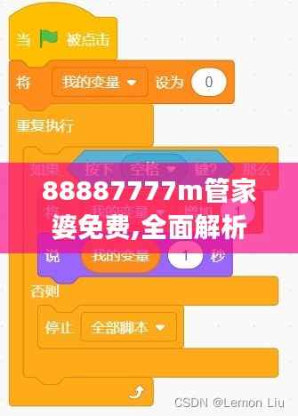 88887777m管家婆免費(fèi),全面解析與深度體驗(yàn)_9DM2.245