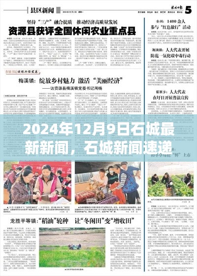 2024年12月9日石城新聞速遞，最新資訊一覽