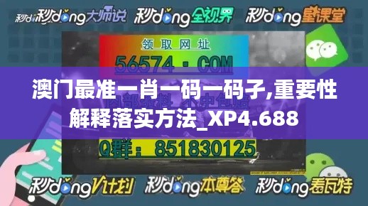 澳門最準一肖一碼一碼孑,重要性解釋落實方法_XP4.688