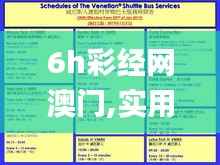 6h彩經(jīng)網(wǎng)澳門,實(shí)用性執(zhí)行策略講解_vShop9.600