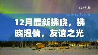 拂曉溫情，友誼之光照亮冬日日常