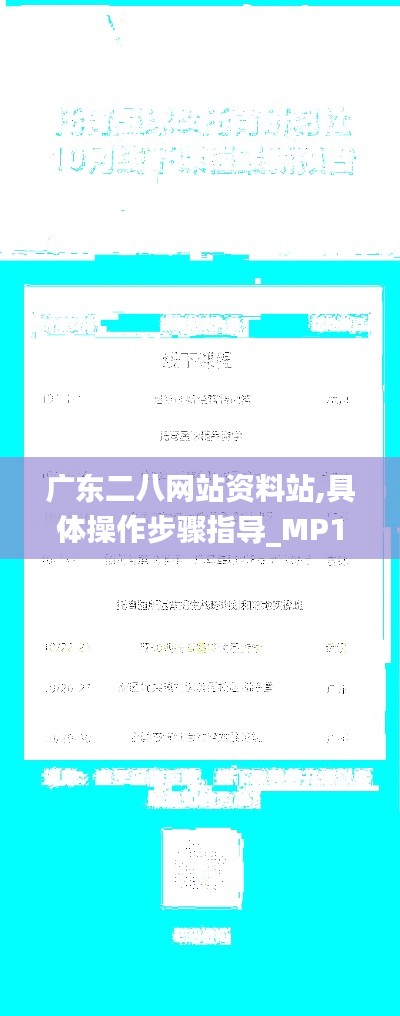 廣東二八網(wǎng)站資料站,具體操作步驟指導(dǎo)_MP1.169