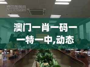 澳門一肖一碼一一特一中,動(dòng)態(tài)調(diào)整策略執(zhí)行_鉆石版3.675