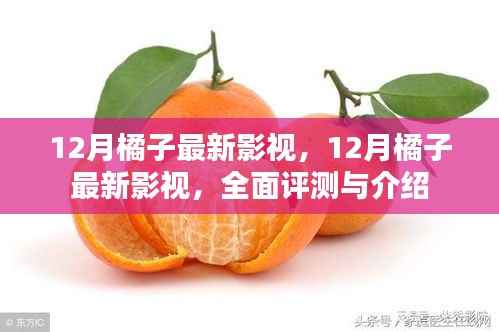 12月橘子最新影視，全面評(píng)測(cè)與介紹