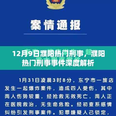 12月9日濮陽(yáng)熱門刑事案件解析，深度探討事件內(nèi)幕