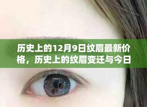 歷史上的紋眉變遷與今日最新價(jià)格概覽，12月9日紋眉價(jià)格回顧與概覽