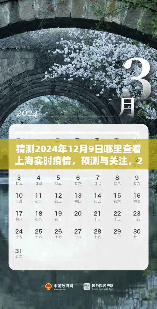 2024年12月9日上海實時疫情查詢指南，預測與關注