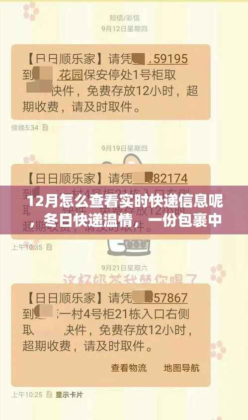 12月實(shí)時(shí)快遞追蹤，冬日包裹里的暖心故事